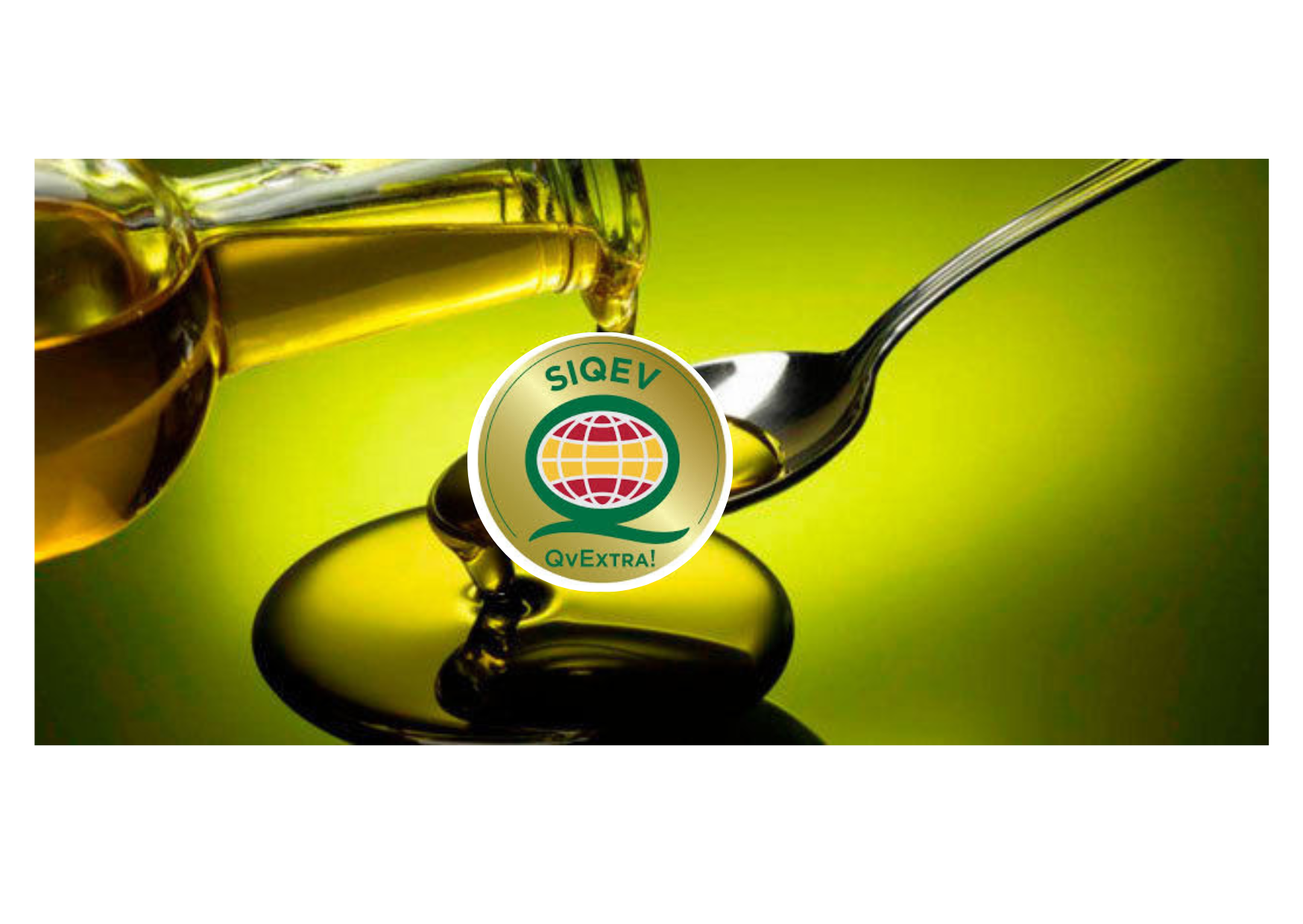 ¿Por qué existen distintos tipos de aceites?