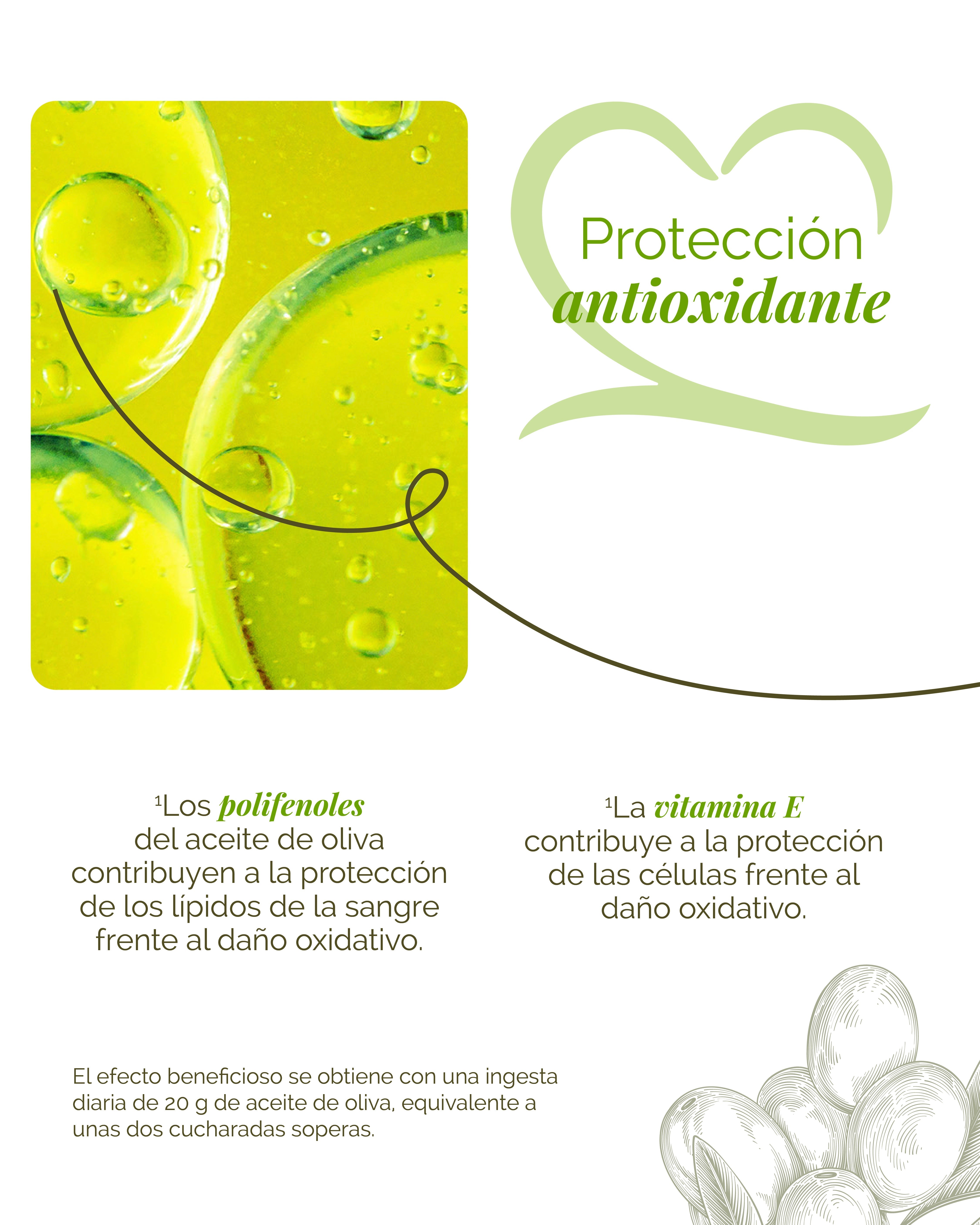 Protección antioxidante, reduce el colesterol